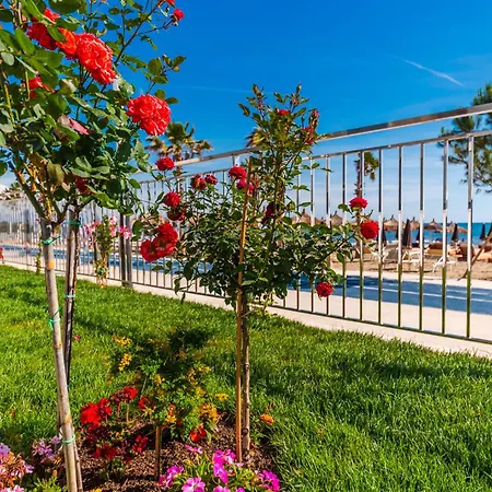 Eldo Paradise Durres