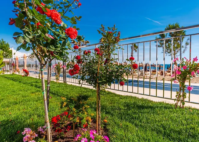 Eldo Paradise Durres